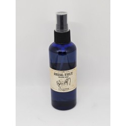 Lotion Brise Tout – Protection et neutralisation des énergies négatives