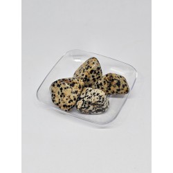 Pierre roulée Jaspe dalmatien – Joie, protection et ancrage