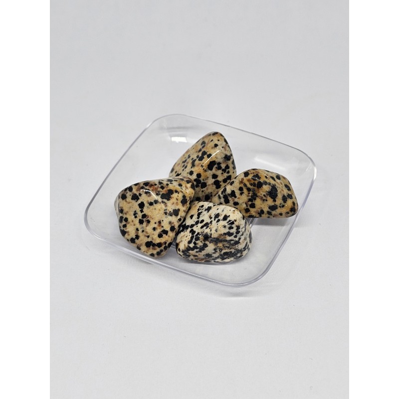 Pierre roulée Jaspe dalmatien – Joie, protection et ancrage