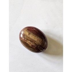Galet Bois fossile – Ancrage, sagesse et stabilité