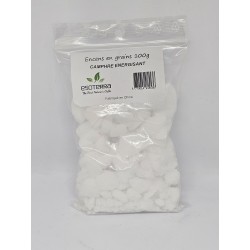 Camphre – Purification, protection et énergie revitalisante