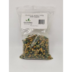 Résine Saint Joseph – Protection, chance et apaisement